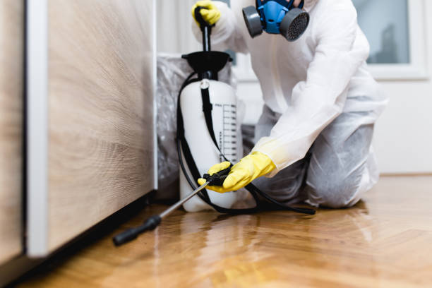 Best Residential Pest Control  in West Hurley, NY