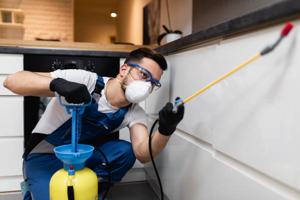 Best Pest Prevention Services  in West Hurley, NY