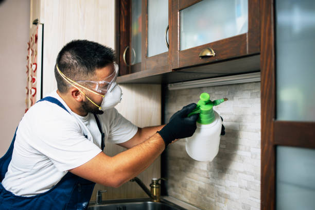Best Best Pest Control Companies  in West Hurley, NY