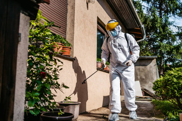 Best Rat Extermination Near Me  in West Hurley, NY