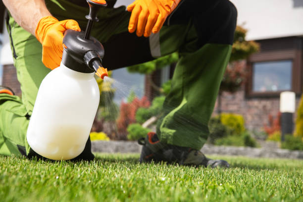 Best Wasp Removal Services  in West Hurley, NY
