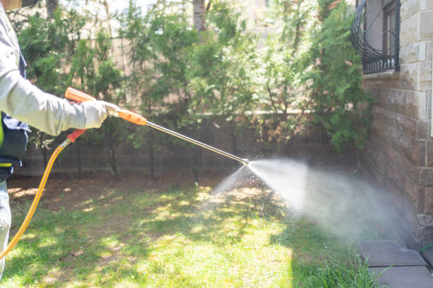 Best Best Pest Control Companies  in West Hurley, NY