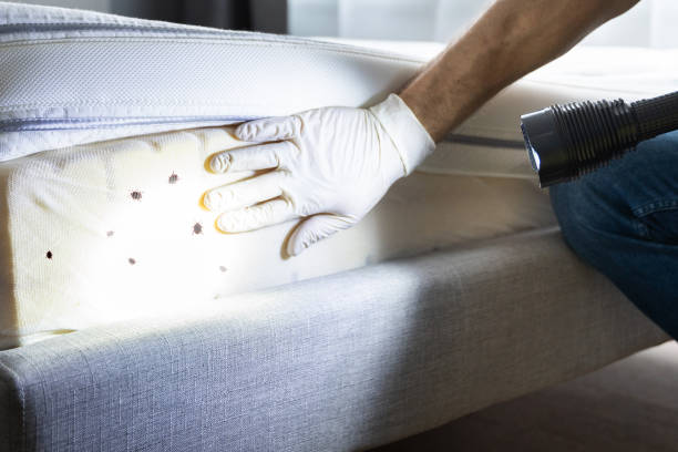 Best Exterminator Services  in West Hurley, NY