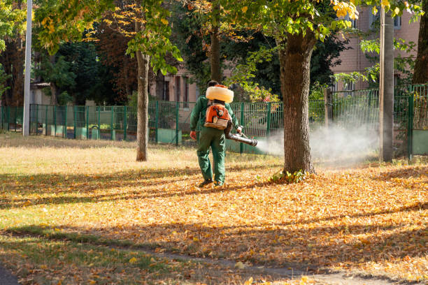 Best Affordable Pest Control Services  in West Hurley, NY