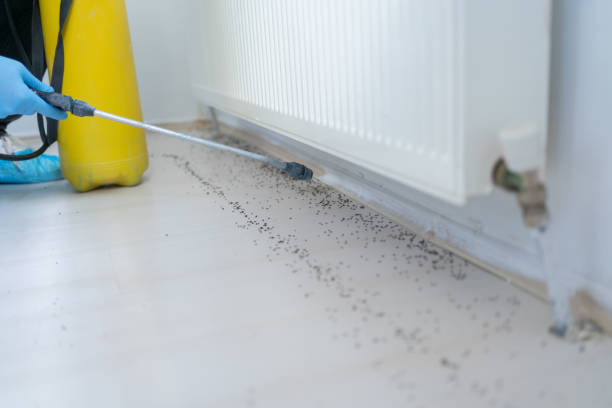 West Hurley, NY Pest Control Company